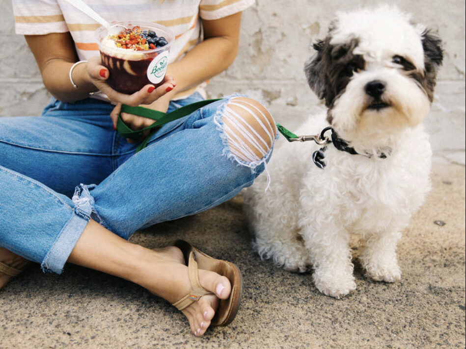 A customer with an açaí bowl and a small white dog on the pavement